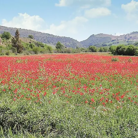 Διαμέρισμα Cortilla 2 Cinigiano